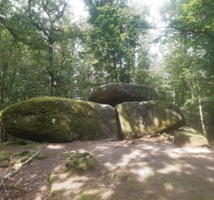 Forêt dominicale de Breuil-chenue - Gouloux - 5