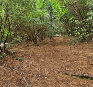 Balade Jusqu'au Tedey - Lacanau - 4
