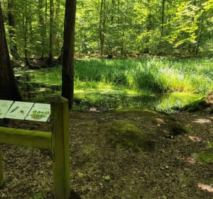 Petit parcours à Boulincourt - Agnetz - 3