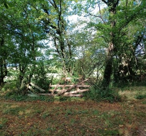 Petite boucle au départ de Vaux - Jalogny - 4