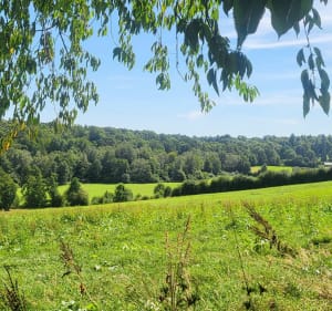 Petit chemin de Beaucquencé - La Ferté-en-Ouche - 3