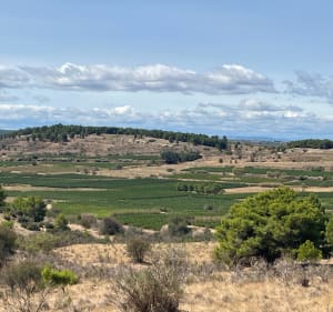 Étang de Vendres - Lespignan - 4