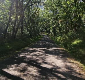 Grand Tour de Saint-Clar-de-Rivière par Castelcaillou - Saint-Clar-de-Rivière - 4