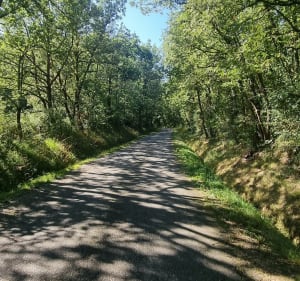 Grand Tour de Saint-Clar-de-Rivière par Castelcaillou - Saint-Clar-de-Rivière - 5