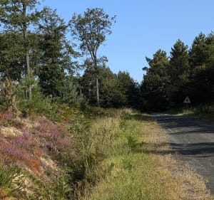 Promenade en Moulière - Bellefonds - 3
