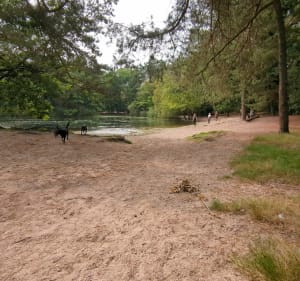 De Kaatsheuvel à Waaleijk via Drunense dunes & Roeivijver - Kaatsheuvel - 3