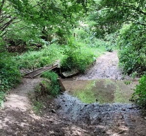 Promenade entre Montchauvet et Civry la forêt - Montchauvet - 5