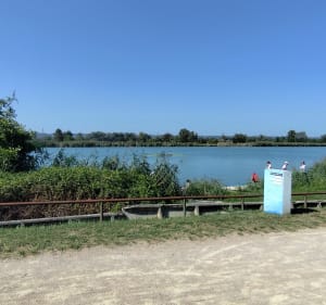 Balade à vélo le long du canal avec partie boisée - Villeurbanne - 4