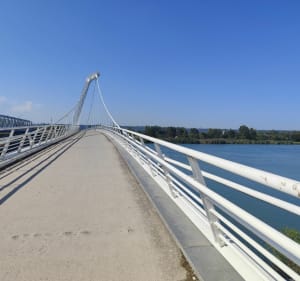 Balade à vélo le long du canal avec partie boisée - Villeurbanne - 5