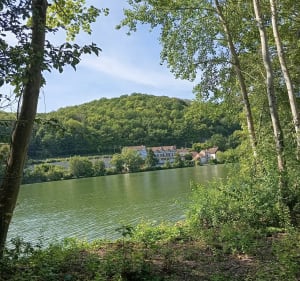 Randonnée près de la Seine depuis Guernes - Guernes - 3