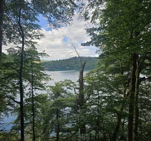 Du Pavin à Montcyneire en boucle - Besse-et-Saint-Anastaise - 4