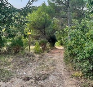 Circuit des Blagiers par les Leuches - Valréas - 4