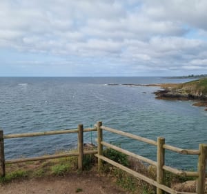 Boucle Aber de Merrien au départ de kervaziou - Moëlan-sur-Mer - 4