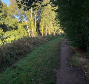 De la ville de la Roche-sur-Yon à la campagne en 2 minutes - La Roche-sur-Yon - 3