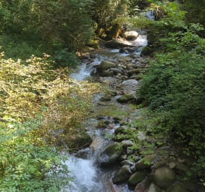 Tour des deux ponts - hauteur de Froges - Le Champ-prés-Froges - 3