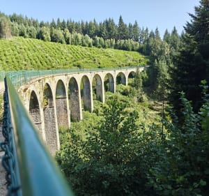 Viaduc du Chatelard depuis le Col de Crie - Deux-Grosnes - 5