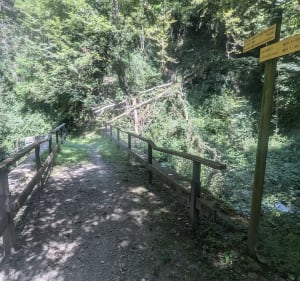 Tour des deux ponts - hauteur de Froges - Le Champ-prés-Froges - 5