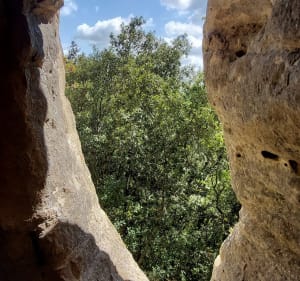 Maissoneuve vallée de Céou - Castelnaud-la-Chapelle - 4