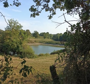 Promenade à La Boissière-de-Montaigu - La Boissière-de-Montaigu - 3