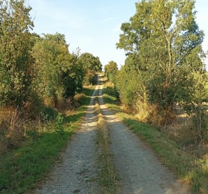 Promenade à La Boissière-de-Montaigu - La Boissière-de-Montaigu - 5
