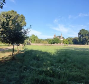 Boucle des 3 châteaux entre Châteaugiron et Domloup - Châteaugiron - 4