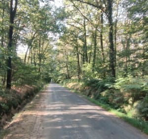 Boucle des 3 châteaux entre Châteaugiron et Domloup - Châteaugiron - 5