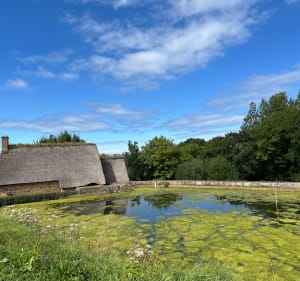 Boucle du Moulin de Marie Ravenel - Vicq-sur-Mer - 3