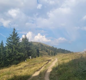Mont Caly et Mont Chéry en boucle depuis le haut des Perrières - Les Gets - 3