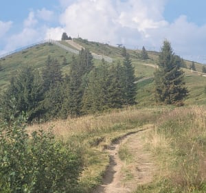 Mont Caly et Mont Chéry en boucle depuis le haut des Perrières - Les Gets - 4