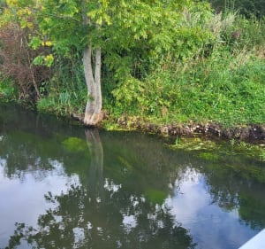 Balade autour de Fay-les-Étangs - Fay-les-Étangs - 5