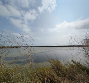 Balade dans les marais salants - Guérande - 5