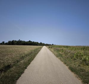 Allée Royale en A/R - Fontenay-le-Fleury - 4
