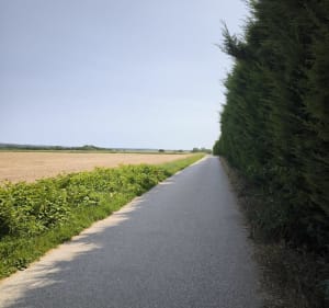Allée Royale en A/R - Fontenay-le-Fleury - 5
