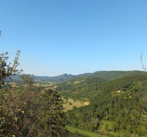 De Meillonnas à Treffort - Meillonnas - 5