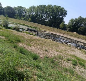 Tour Rhinau-Rust-Diebolsheim-Rhinau - Rhinau - 4