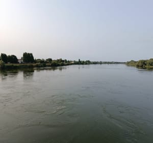 Casson et bords de Loire - Casson - 4