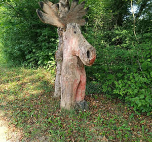 Tour Rhinau-Rust-Diebolsheim-Rhinau - Rhinau - 5