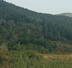 St-Marcel-lès-Annonay, du village au lac - Saint-Marcel-lès-Annonay - 3