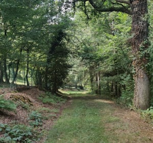 Petite balade à Néronde-sur-Dore - Néronde-sur-Dore - 4