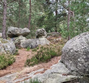 Tour du petit mont Chauvet à Fontainebleau - Fontainebleau - 4