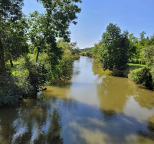 Le long des berges du Madon - Ceintrey - 4