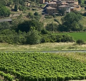 Oingt + balade pierres dorées - Chazay-d'Azergues - 3