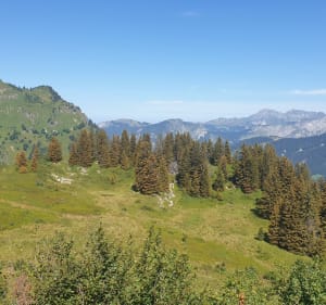 Du Col de Bassachaux au refuge des Tinderets - Châtel - 3