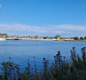Entre le canal de la Sensée et le canal du Nord - Aubigny-au-Bac - 4