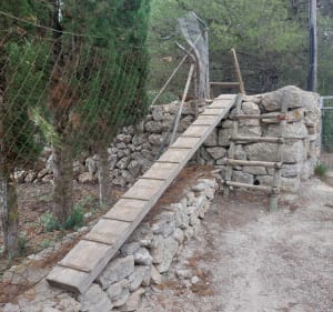 Claper dels Gegants, en partant de Font de sa Cala - Capdepera - 4