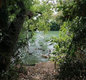 Cagnes entre rivière et mer, par bois de St-Véran - Cagnes-sur-Mer - 4