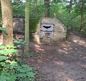 Petite rando ombragée à Oignies - Oignies - 3