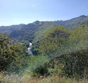 La route du vin du Fel entre monts cantaliens et vallée du Lot - Entraygues-sur-Truyère - 3