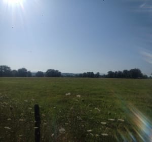 Forêt de Marcenat par Gratau - Saint-Didier-la-Forêt - 4