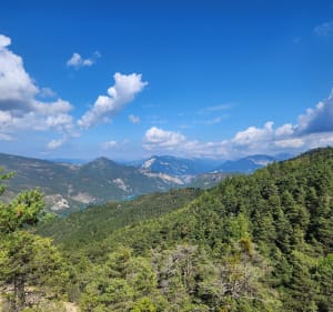 Aller-retour au Crémon 1370m - Demandolx - 3
